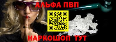 спиды Кингисепп