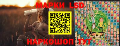 спиды Кингисепп