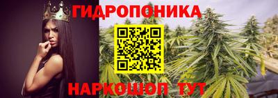 индика Кинель