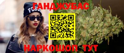 спиды Кингисепп