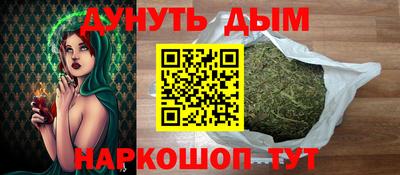спиды Кингисепп