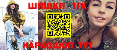 спиды Кингисепп