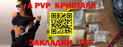 спиды Кингисепп