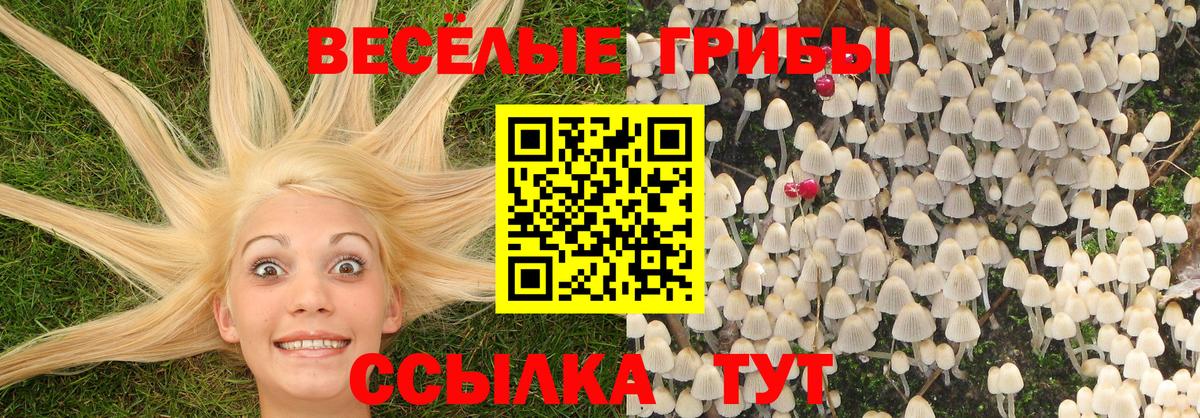 Псилоцибиновые грибы мицелий Мегион