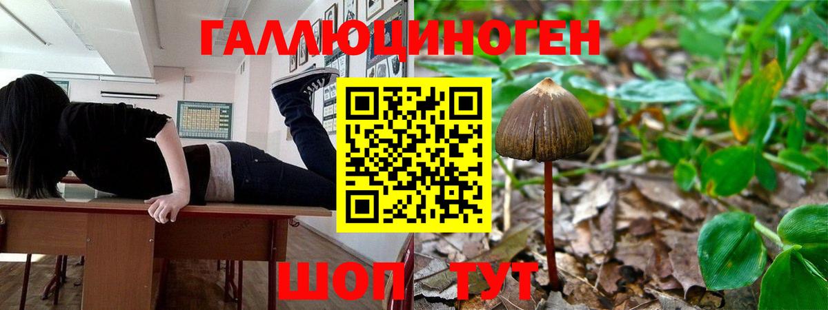 Галлюциногенные грибы ЛСД  Вход с VPN  наркота  Мегион 